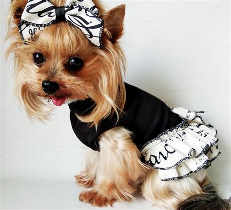 luxury doggie clothing uk